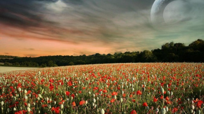 河南女生高考 288 分全家欢呼，这是一种什么样的心态？